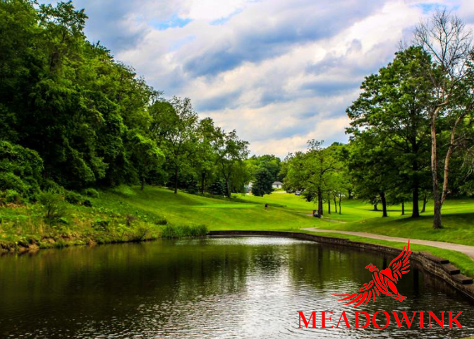 Meadowink-golf-page-